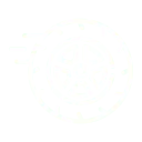 Custom Outfitters Tire icon